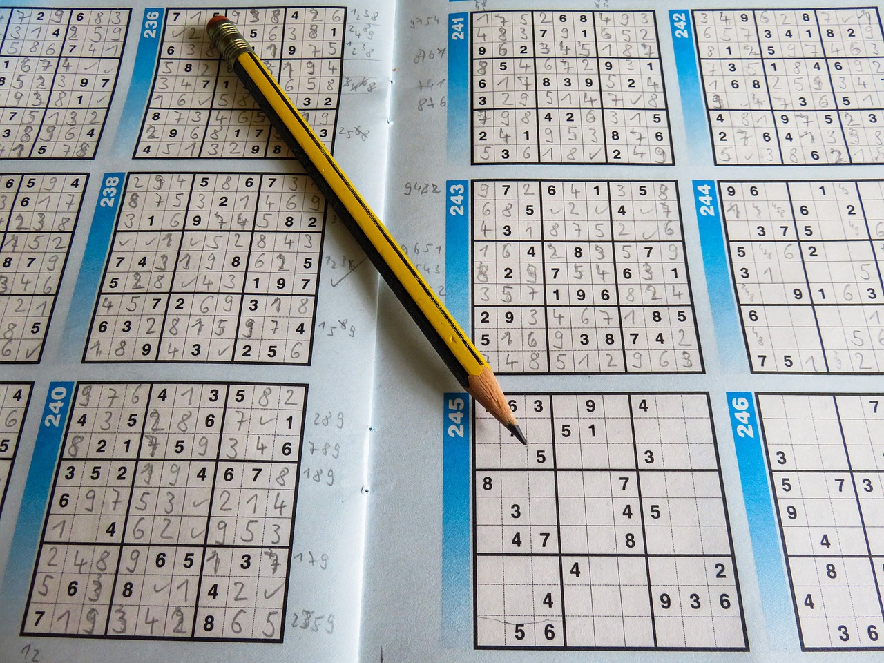 2024新奥正版资料免费，精细评估方案_日常休闲风格8.214.26